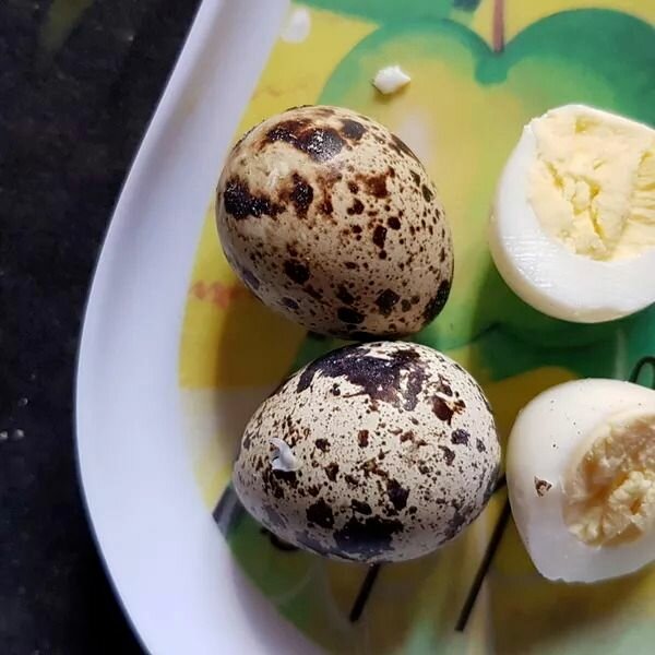 Œufs de caille frais