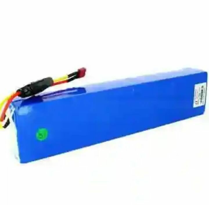 Trottinette Électrique Panoramique