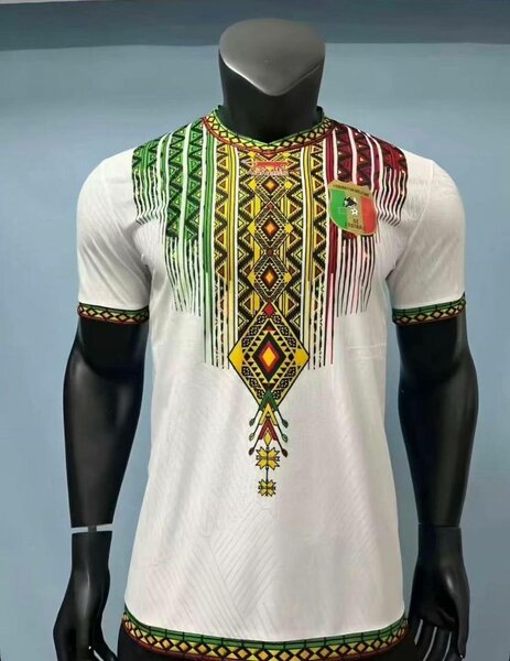 Maillot Mali 2025-2026