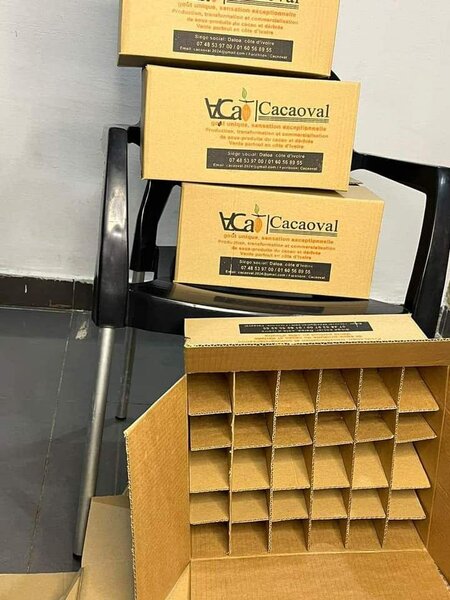 Cartons d'emballage robustes