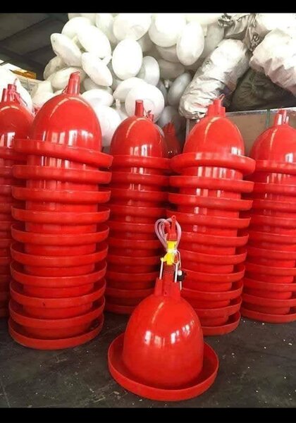 Automatique Rouge Poulet Boire