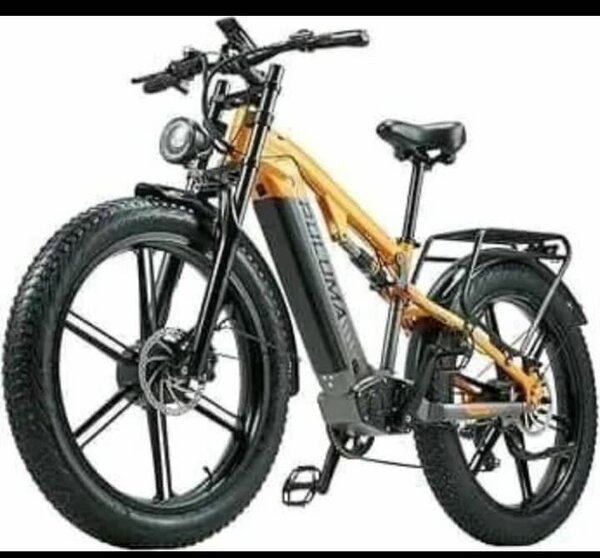 Vélo Électrique Tout-Terrain