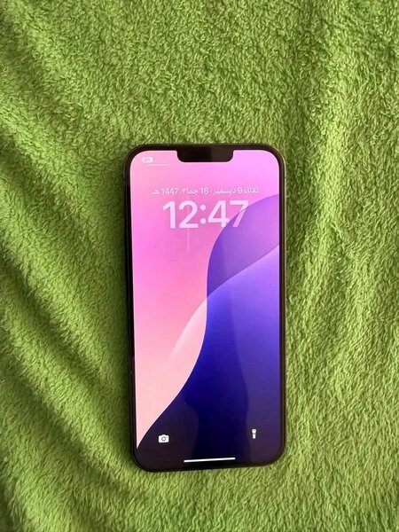 Apple iPhone 13 pro max