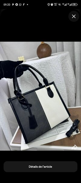 Sac à main bicolore élégant