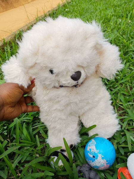 Jouet en peluche chien lapin