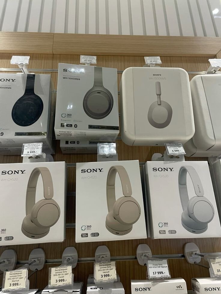 Écouteurs Sony WH-CH520