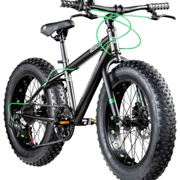 Vélo électrique tout-terrain