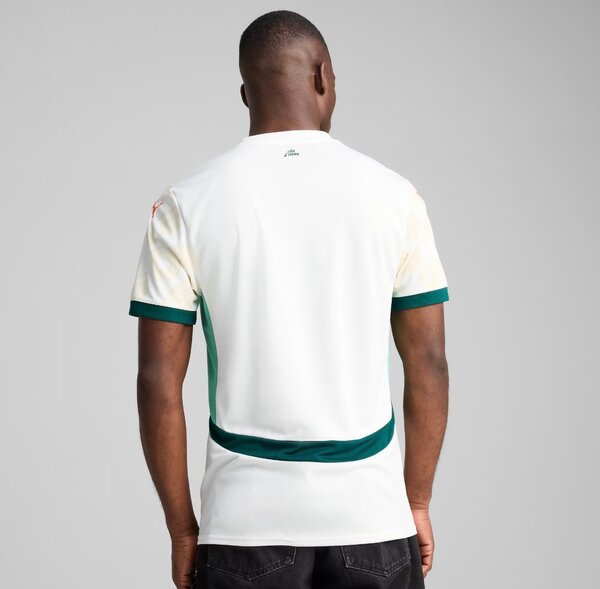 Maillot Côte d'Ivoire Puma