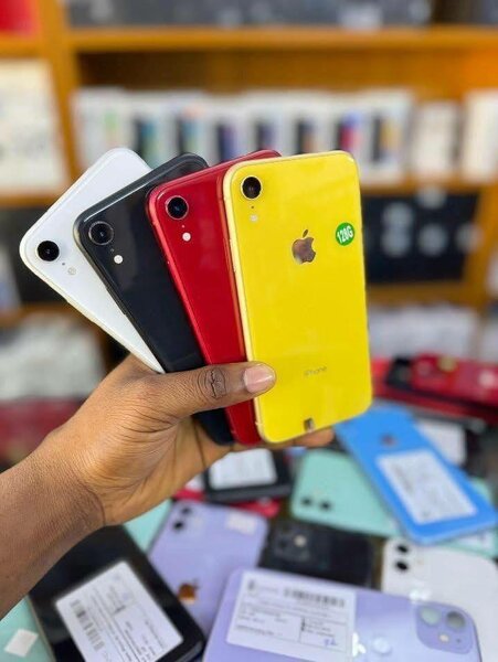 iPhone XR Neuf