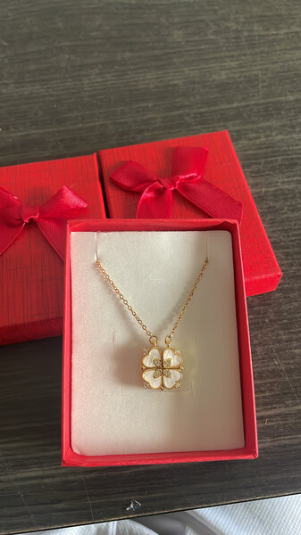 Collier Coeur Argent Élégant