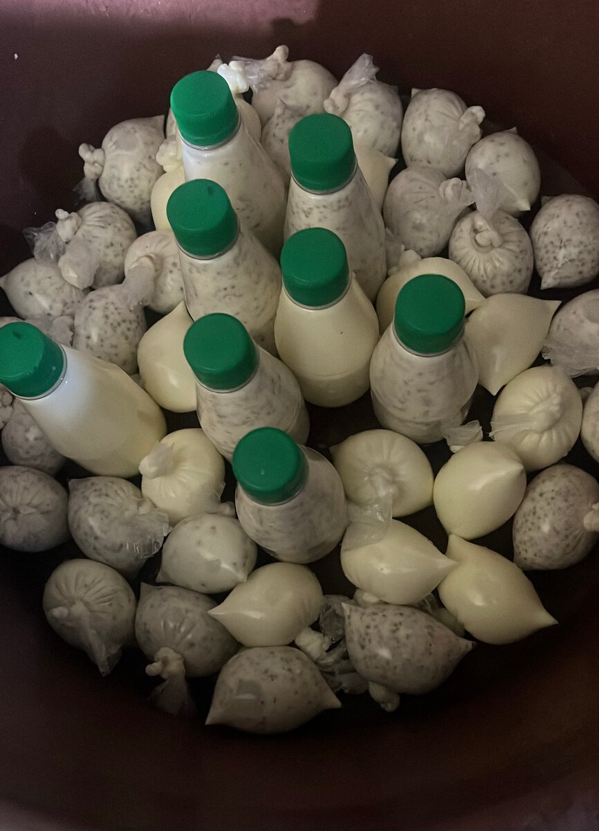 Lait caillé biologique