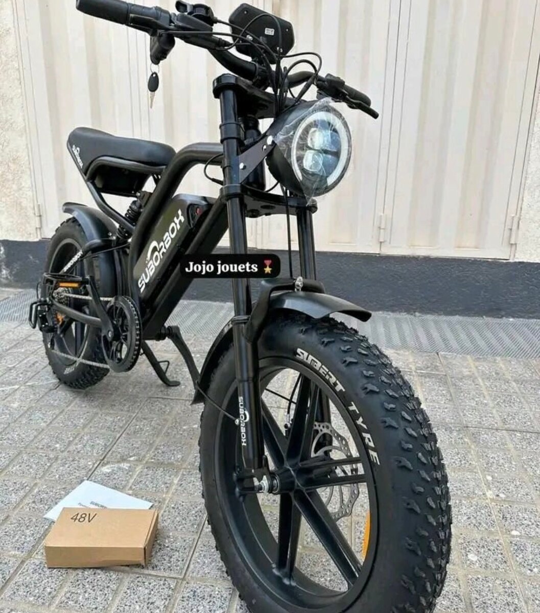 Vélo électrique tout-terrain