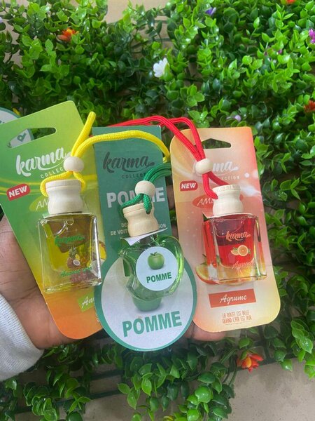 Diffuseur de voiture Karma