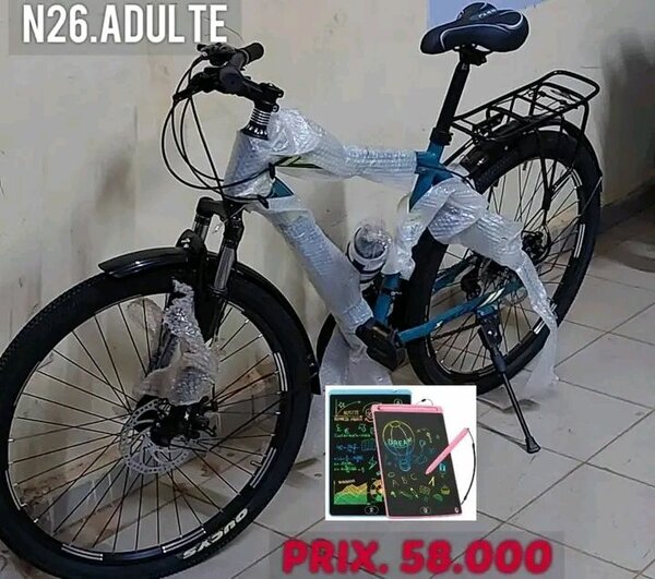 Vélo de montagne adulte robuste