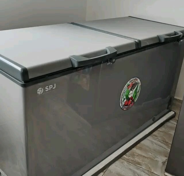 Congélateur coffre SPJ grande capacité