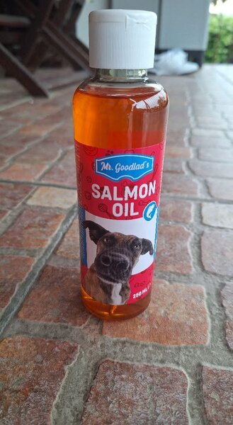 Huile de Saumon pour Chiens