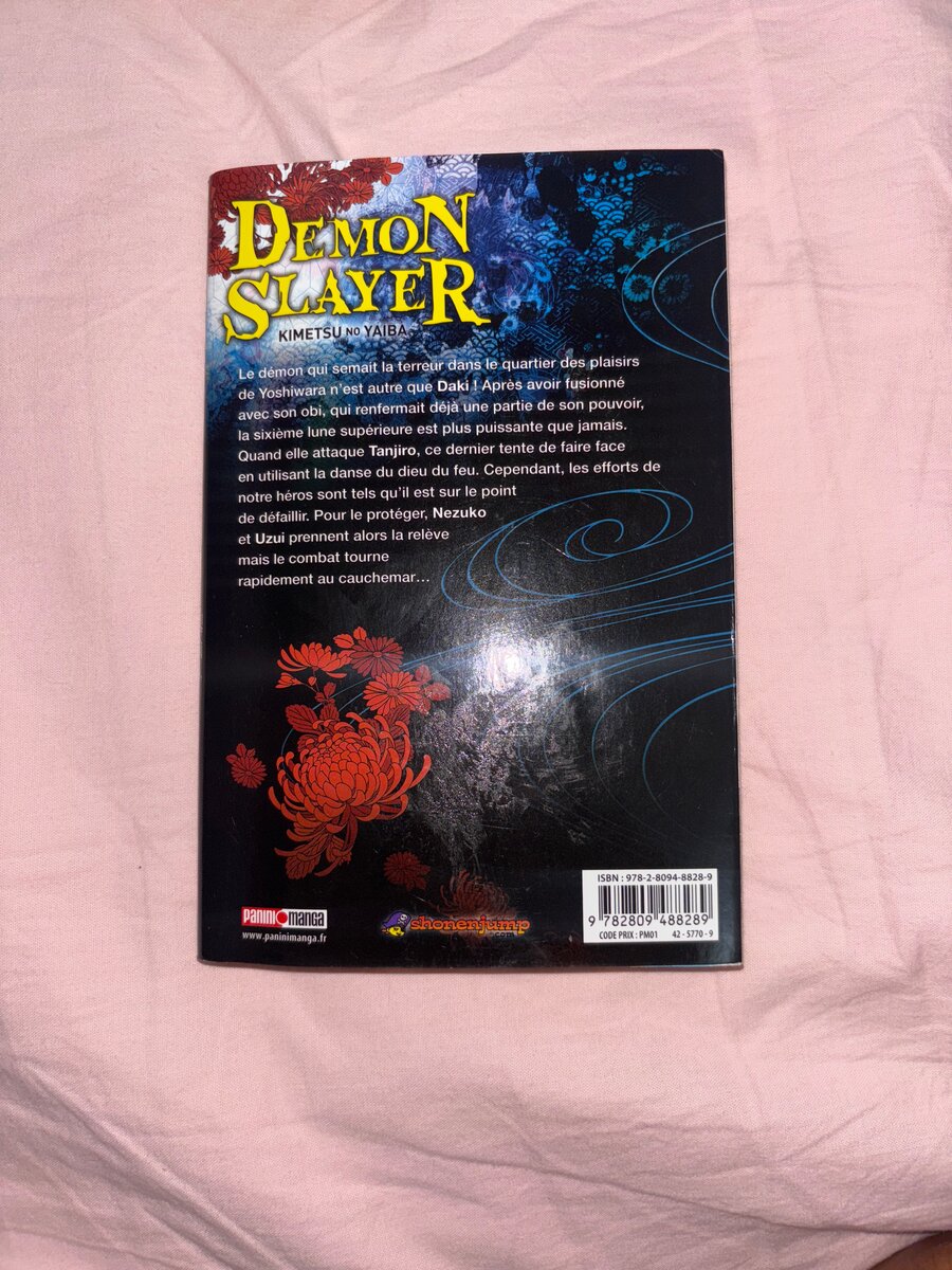 Demon Slayer T10 - Manga captivant