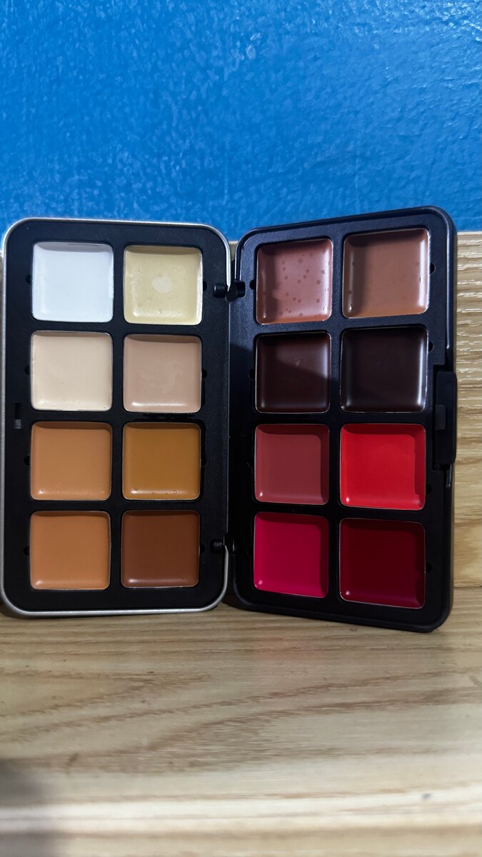 Palette de maquillage matte professionnelle