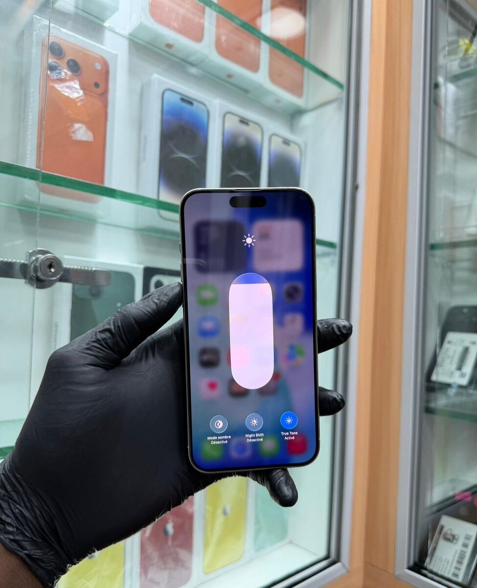 15 Pro Max 256Go origine