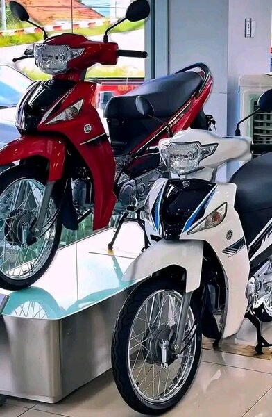 Scooter électrique puissant et élégant