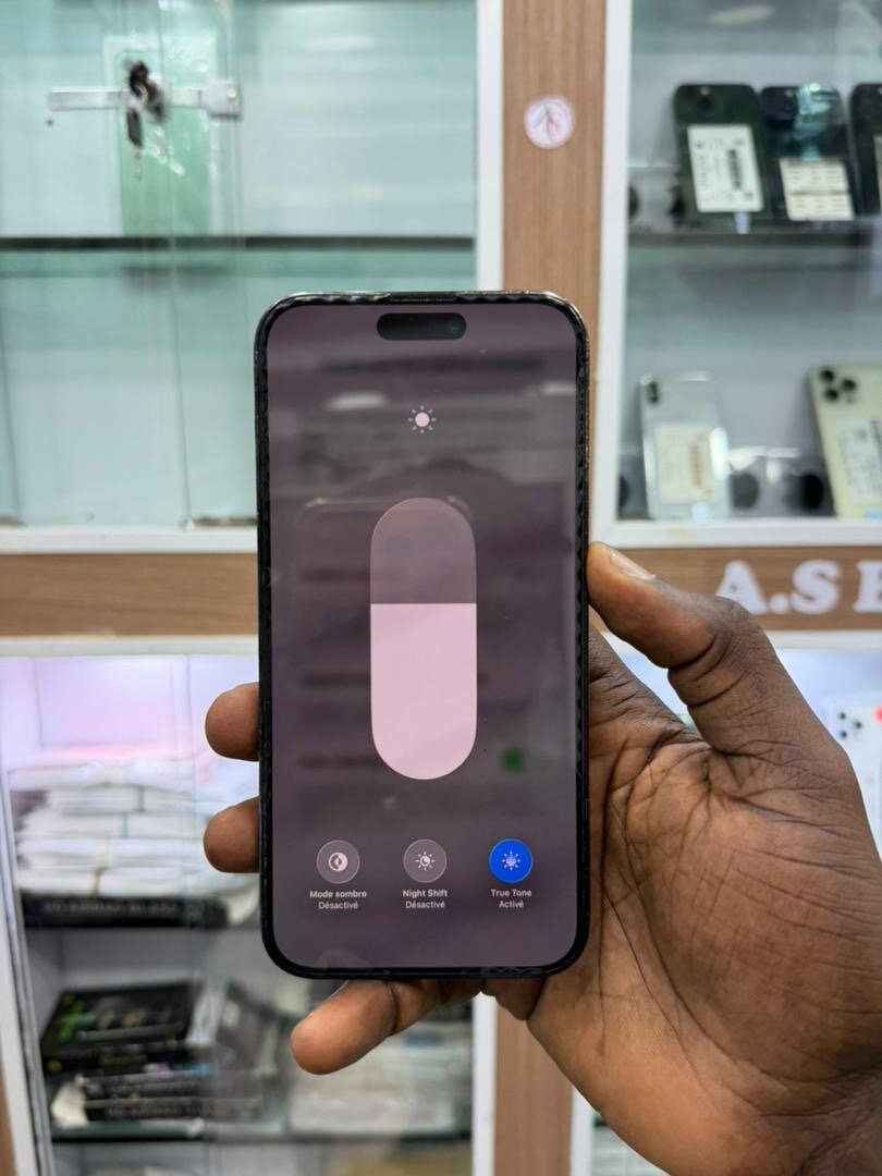 14promax 256g batterie changer