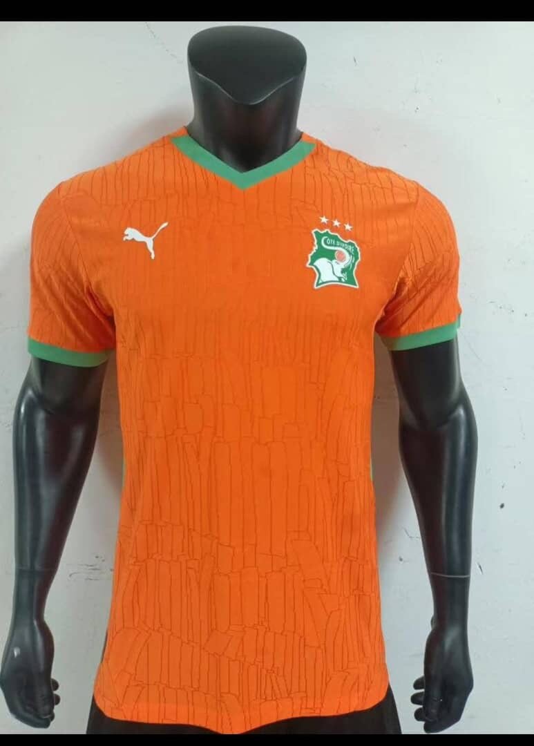 Maillot Côte d'Ivoire Puma