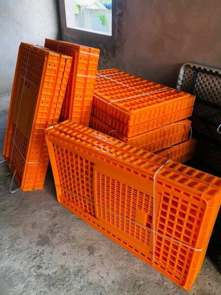 Caisse en plastique orange