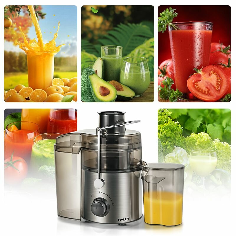 Extracteur de Jus Haute Vitesse Haley
