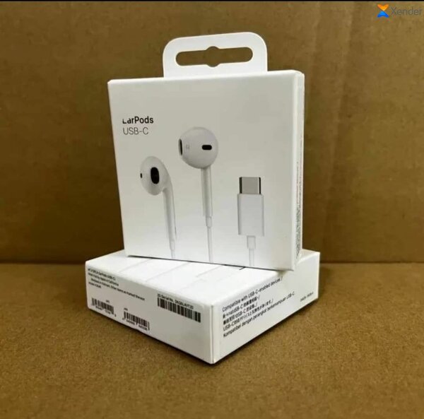 Écouteurs USB-C LarPods