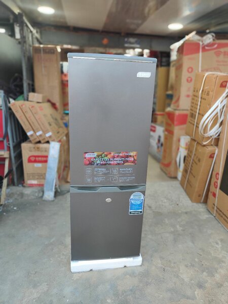 Réfrigérateur moderne 250L