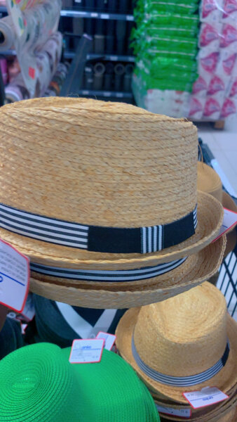 Chapeau Fedora Élegant