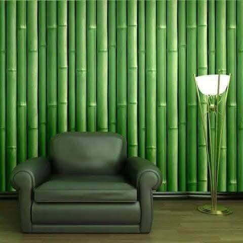 Papier peint bambou vert