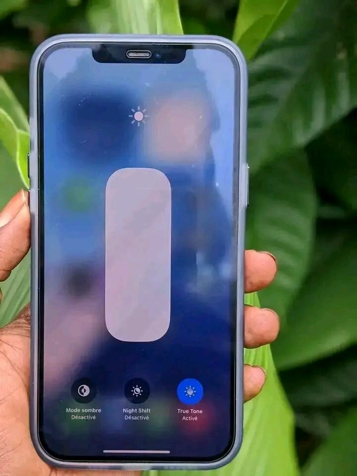 Apple iPhone 13 Pro - Smartphone Reconditionné