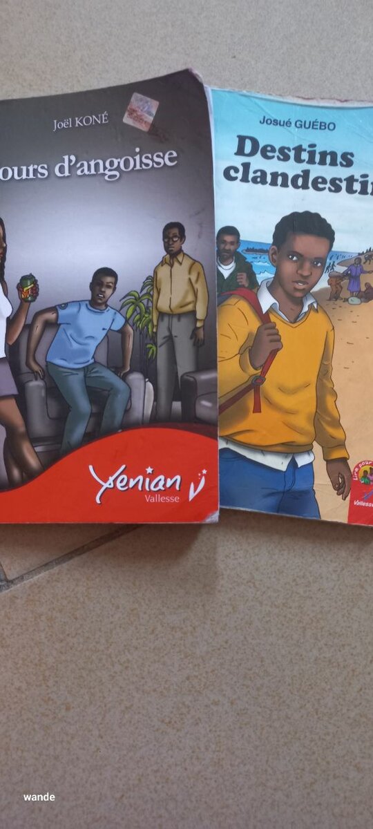 Collection de Livres Variés