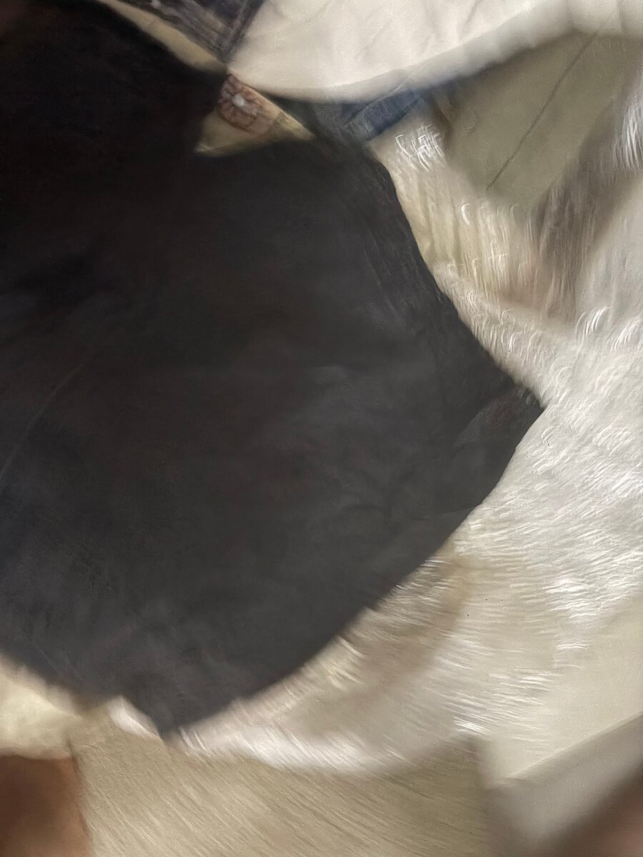 Shorts étoilés noirs