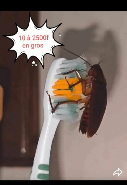 Capuchon de Brosse à Dents Coloré