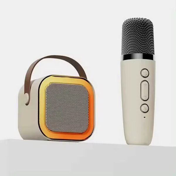 Karaoké Microphone et Enceinte LED