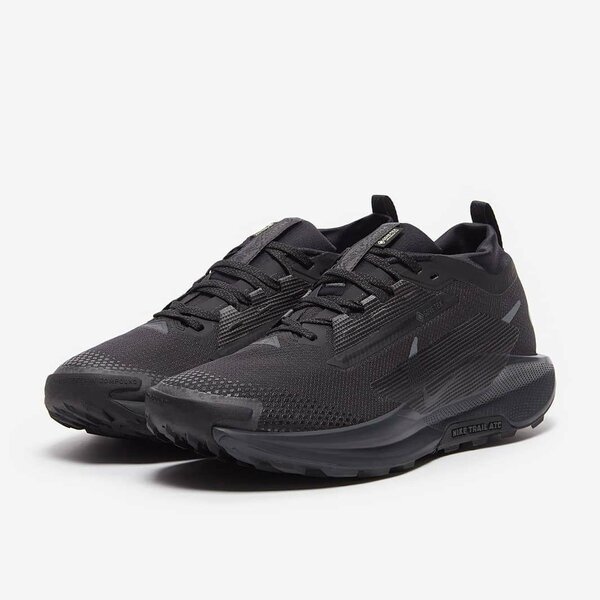 Chaussures de Trail Nike Noir