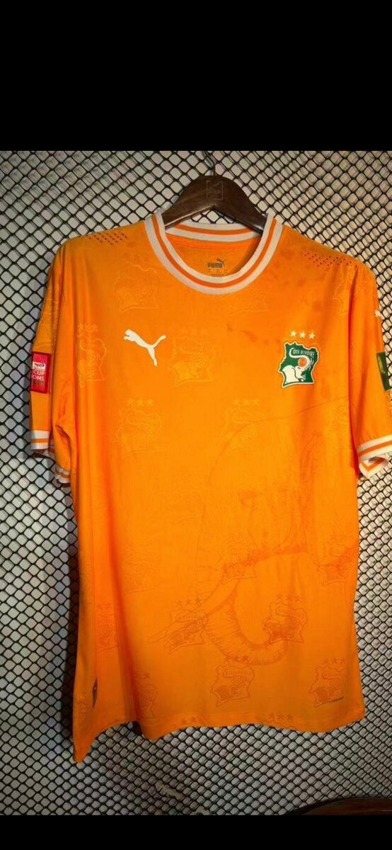 Maillot Côte d'Ivoire Puma