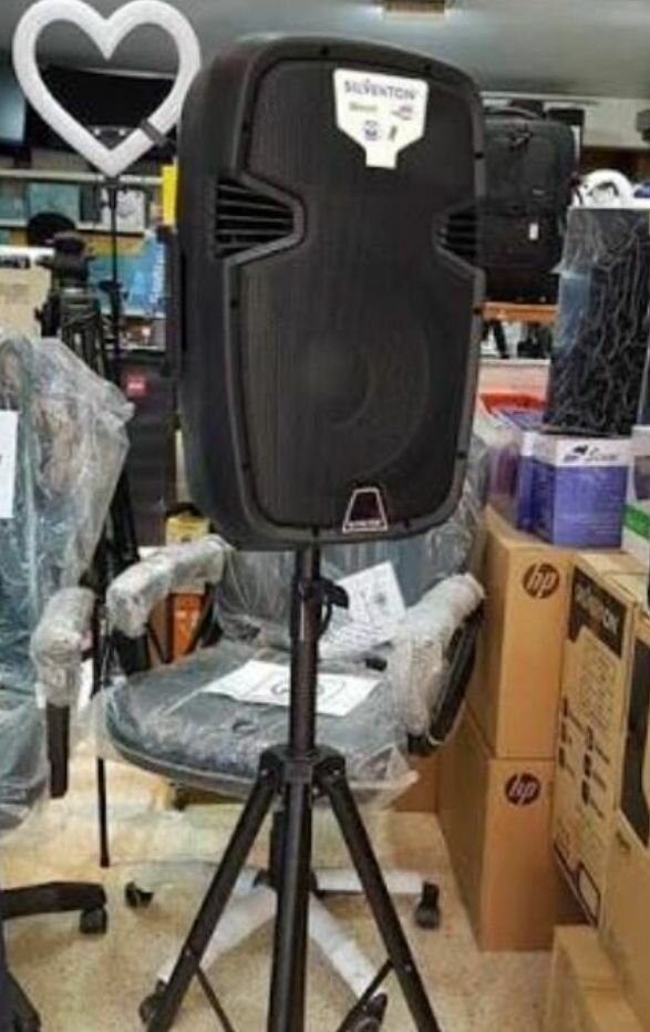 Haut-parleur puissant portable