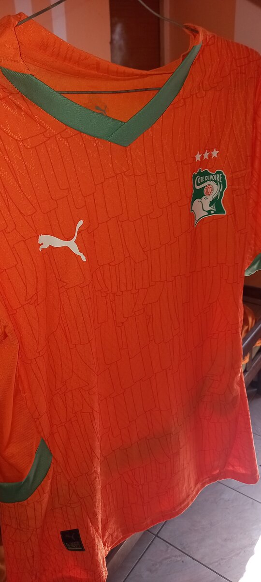 Maillot Côte d'Ivoire Puma