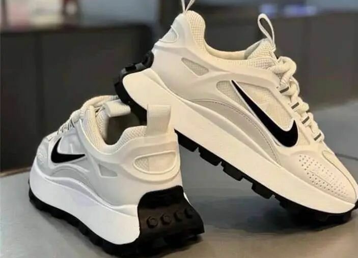 Chaussures Nike pour hommes