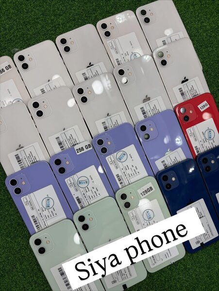 iPhone 12 - Large Choix de Couleurs