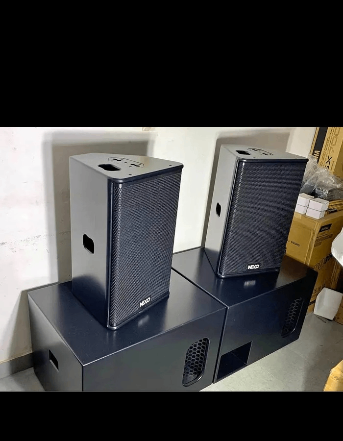 Enceinte professionnelle NEXO