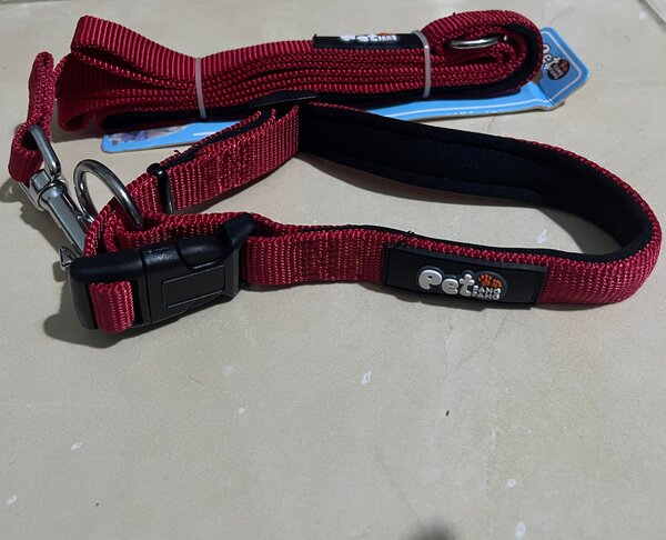 Collier Réglable pour Chiens