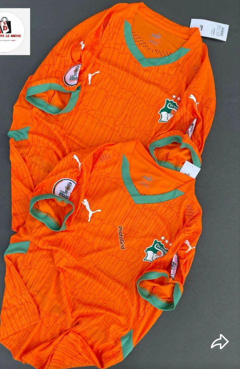 Maillot Côte d'Ivoire Puma Officiel