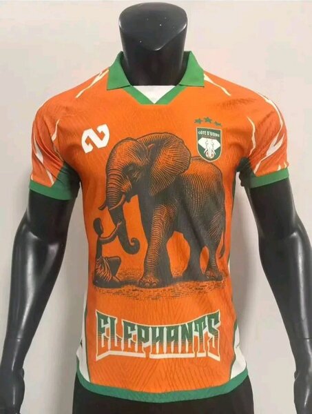 Maillot Côte d'Ivoire Élégant
