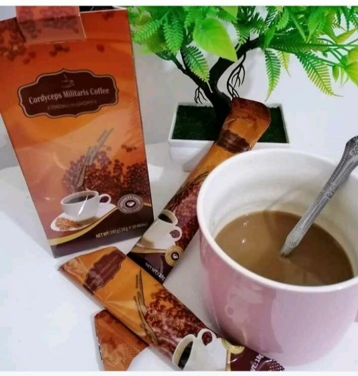 Café Cordyceps Militaris