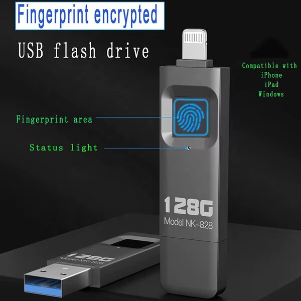 Clé USB 128Go Sécurisée
