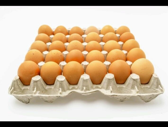 Œufs frais de ferme